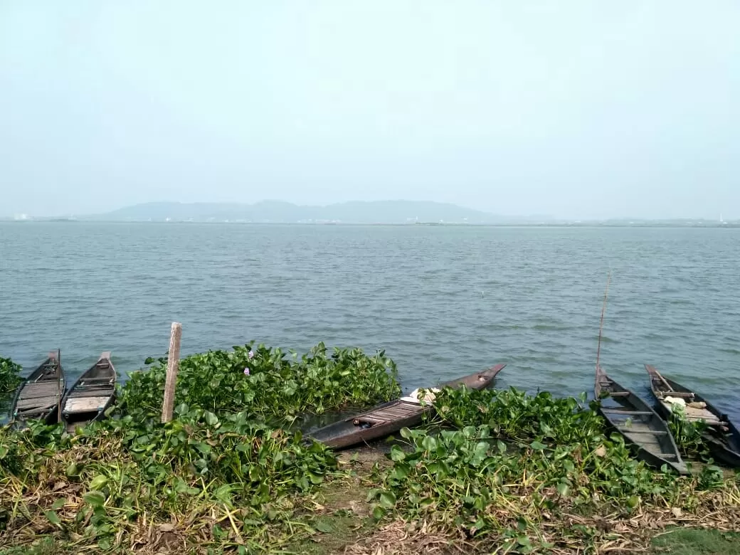 Photo of Deepor Beel Birds Sanctuary By Trisha Saikia