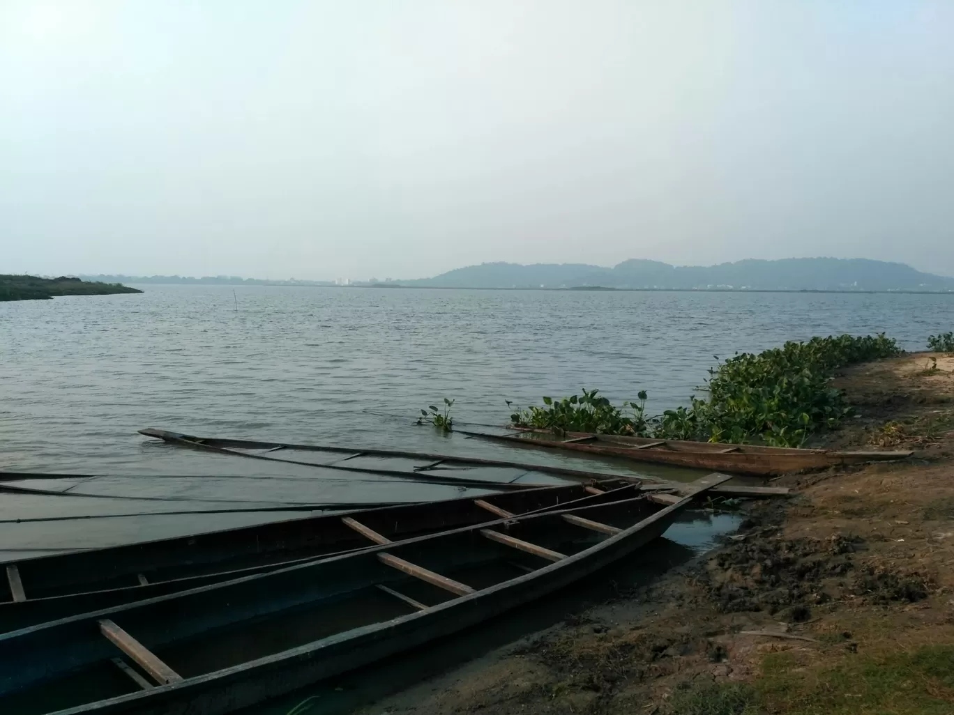 Photo of Deepor Beel Birds Sanctuary By Trisha Saikia