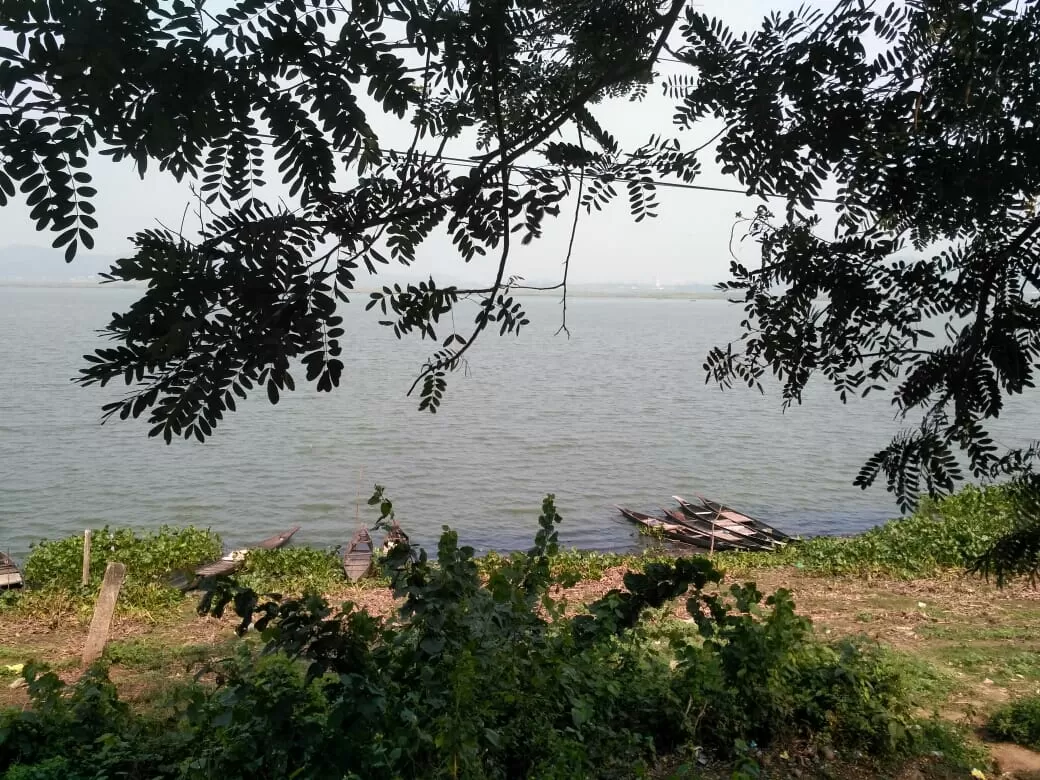 Photo of Deepor Beel Birds Sanctuary By Trisha Saikia