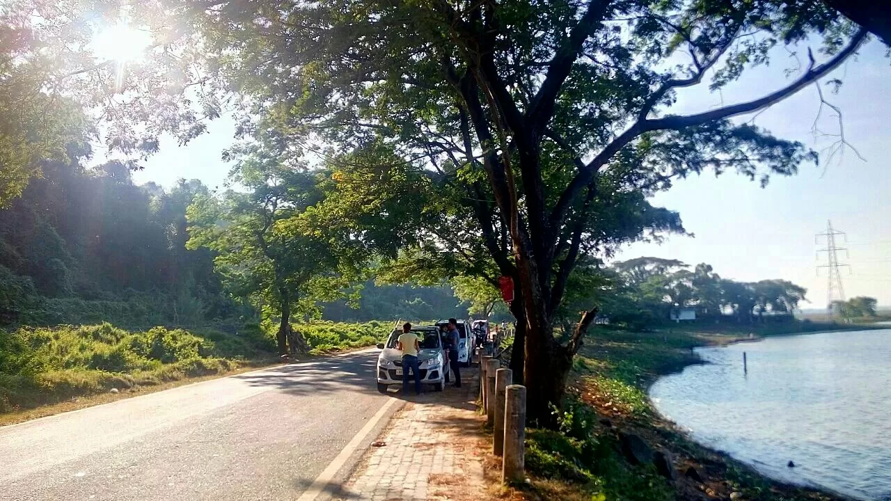 Photo of Deepor Beel Birds Sanctuary By Trisha Saikia