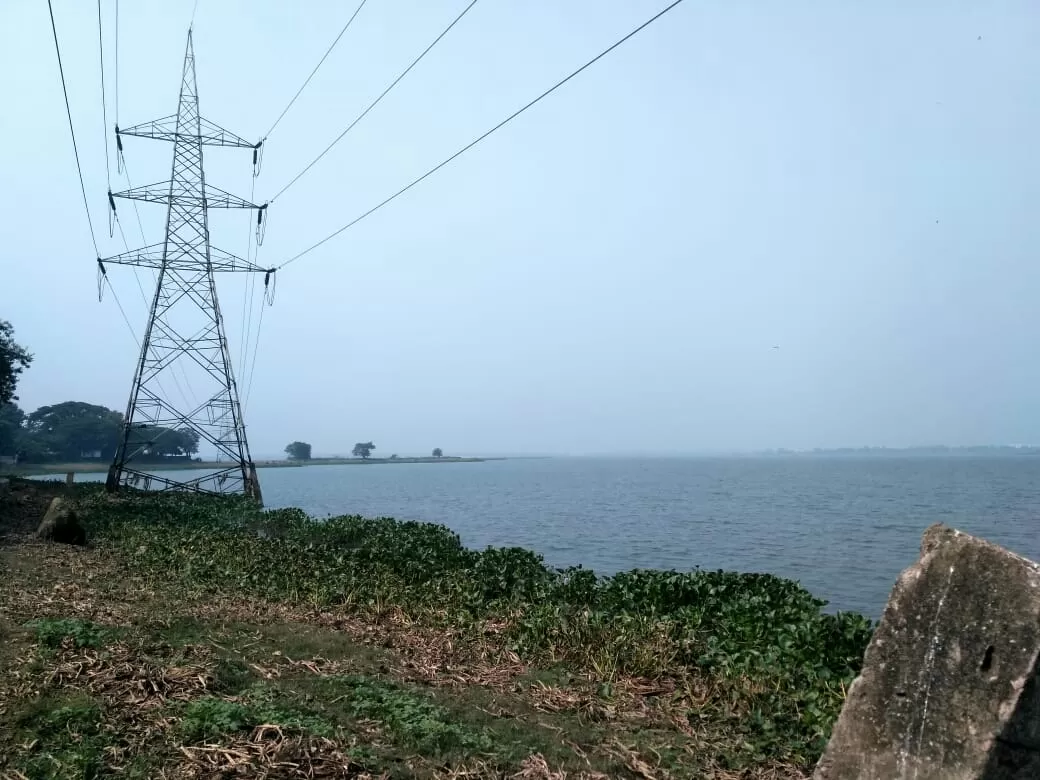 Photo of Deepor Beel Birds Sanctuary By Trisha Saikia
