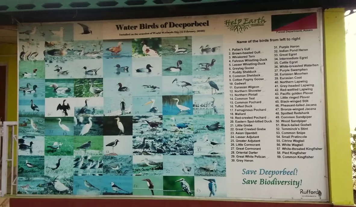 Photo of Deepor Beel Birds Sanctuary By Trisha Saikia