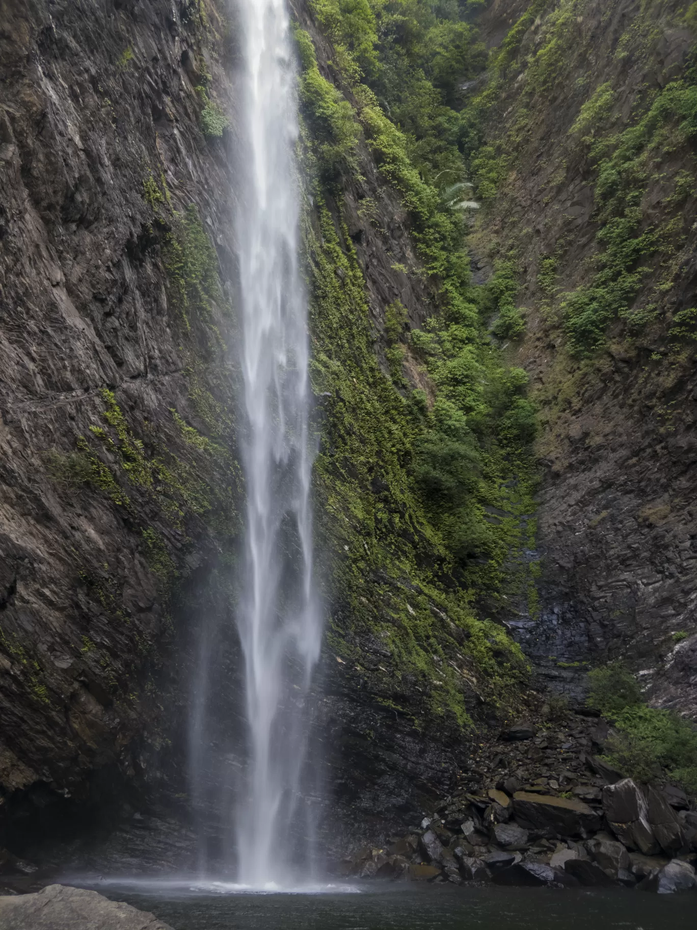 Photo of Agumbe By Shashank Kashyap