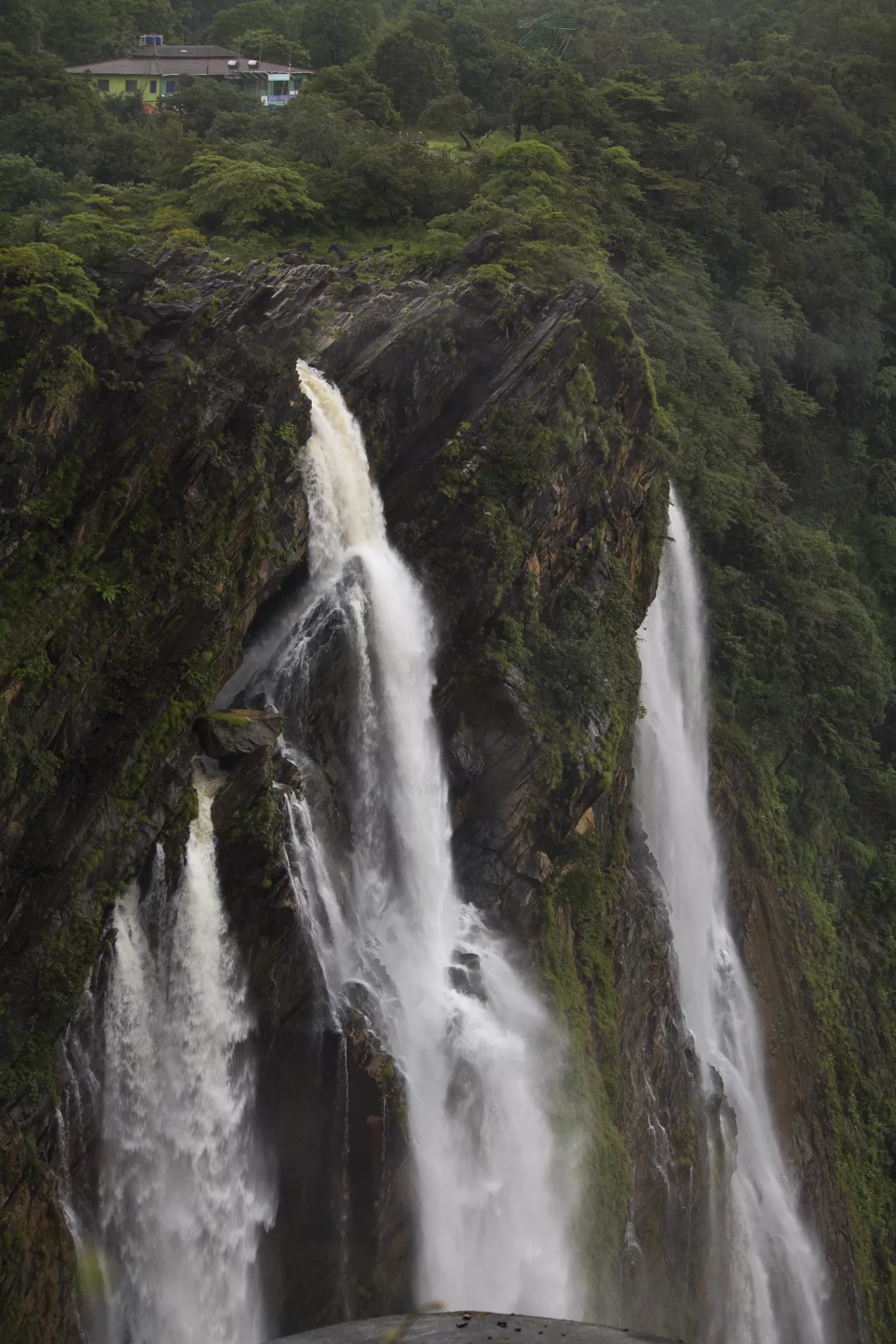 Photo of Jog Falls By Shashank Kashyap
