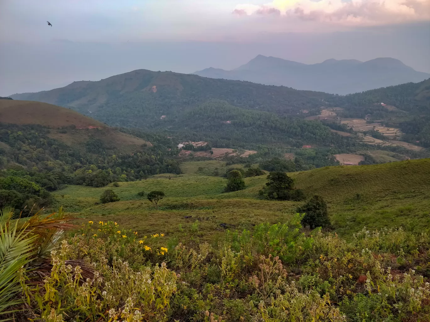 Photo of Kyatanamakki Hill Station By Shashank Kashyap