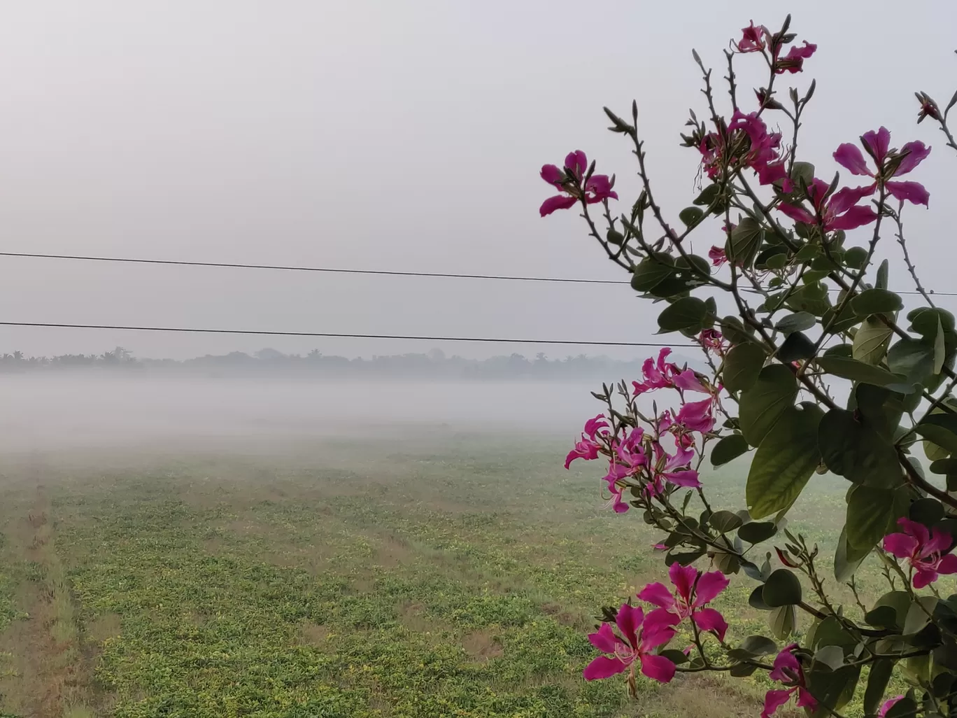 Photo of Goa By Rahul Pratap