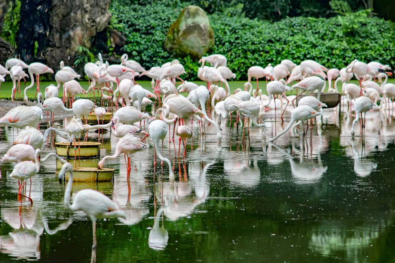 Photo of Singapore By Swati Chaturvedi