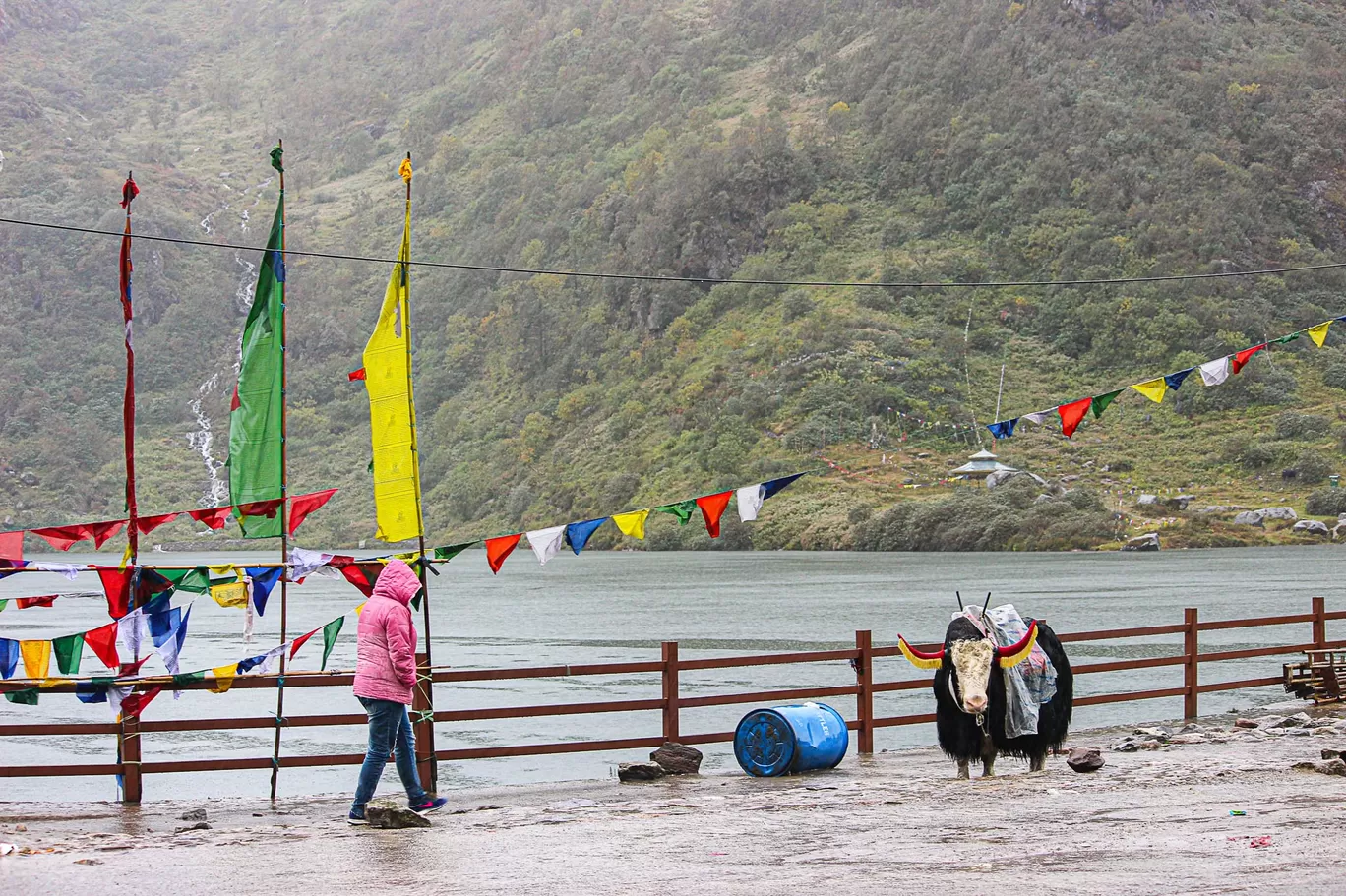 Photo of Sikkim By Swati Chaturvedi