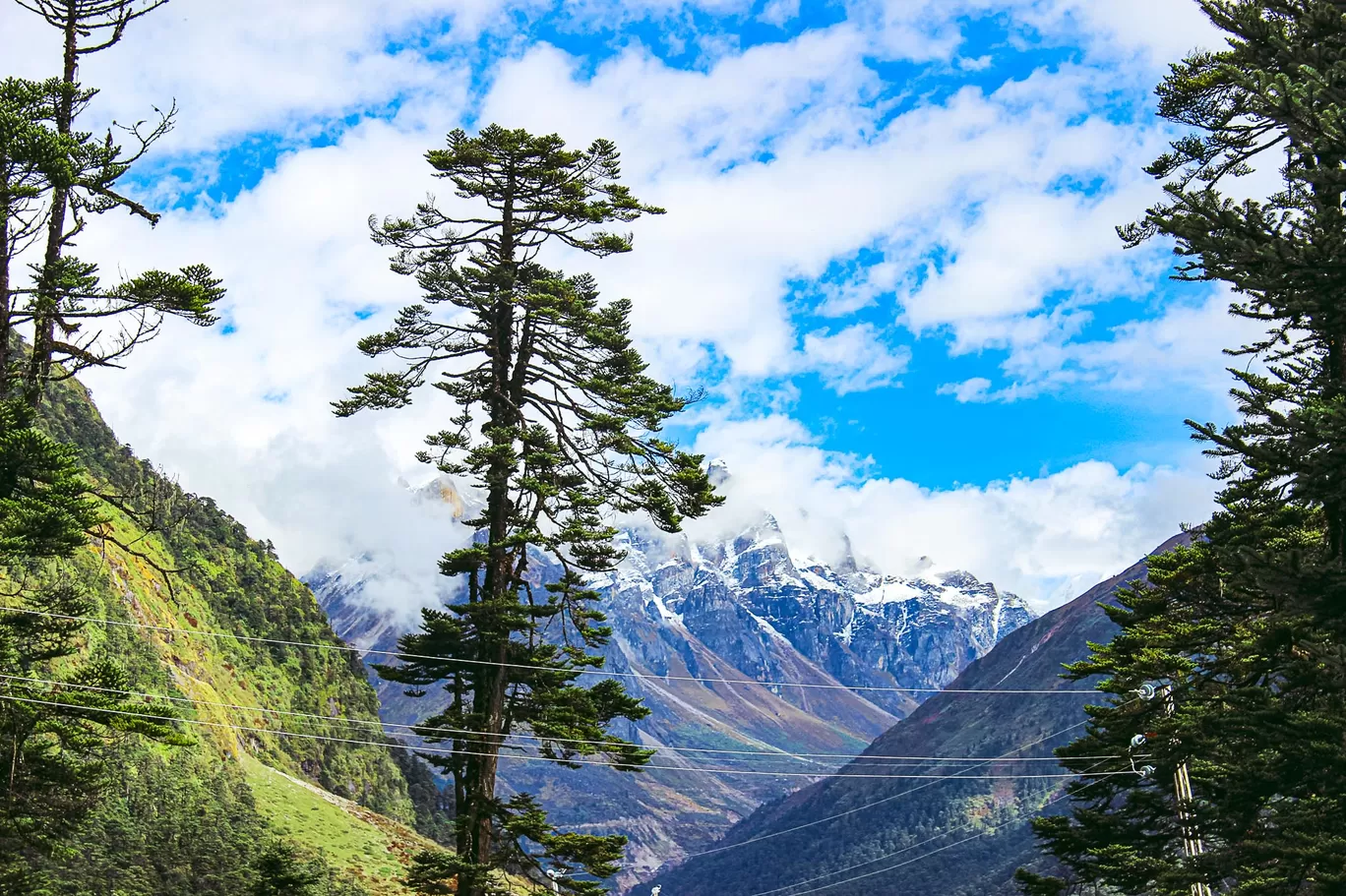 Photo of Sikkim By Swati Chaturvedi