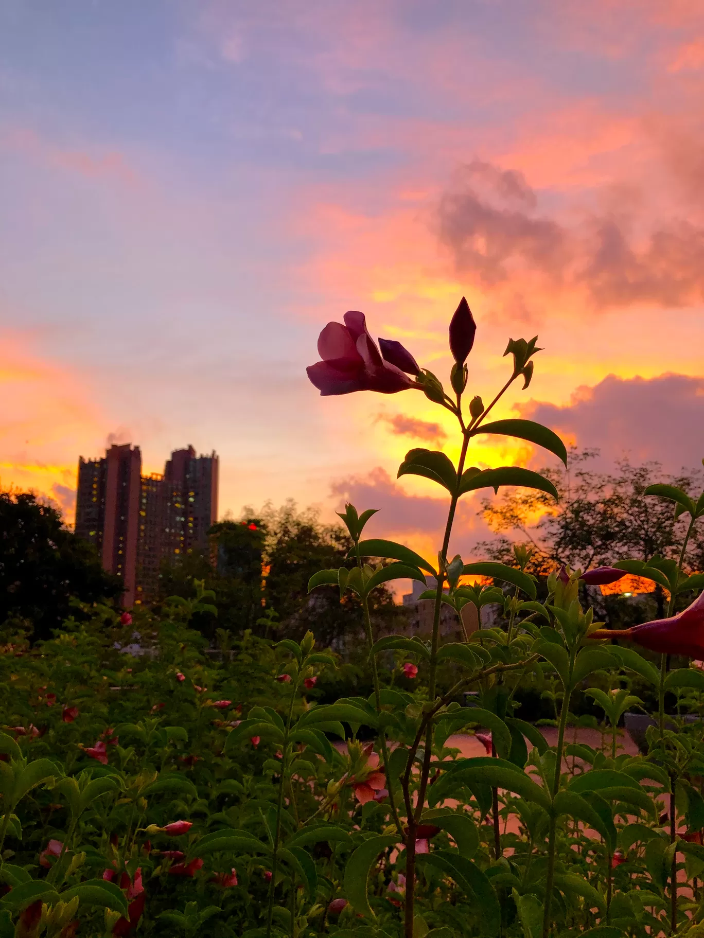 Photo of Hong Kong By Swati Chaturvedi