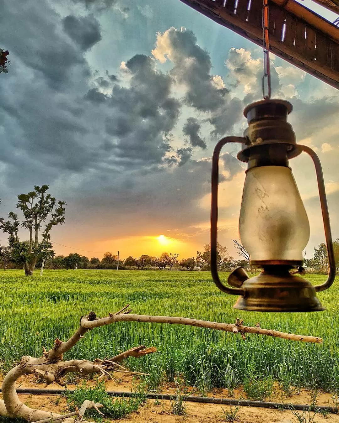 Photo of Jor Ki Dhani By Raghav Rai Ralhan