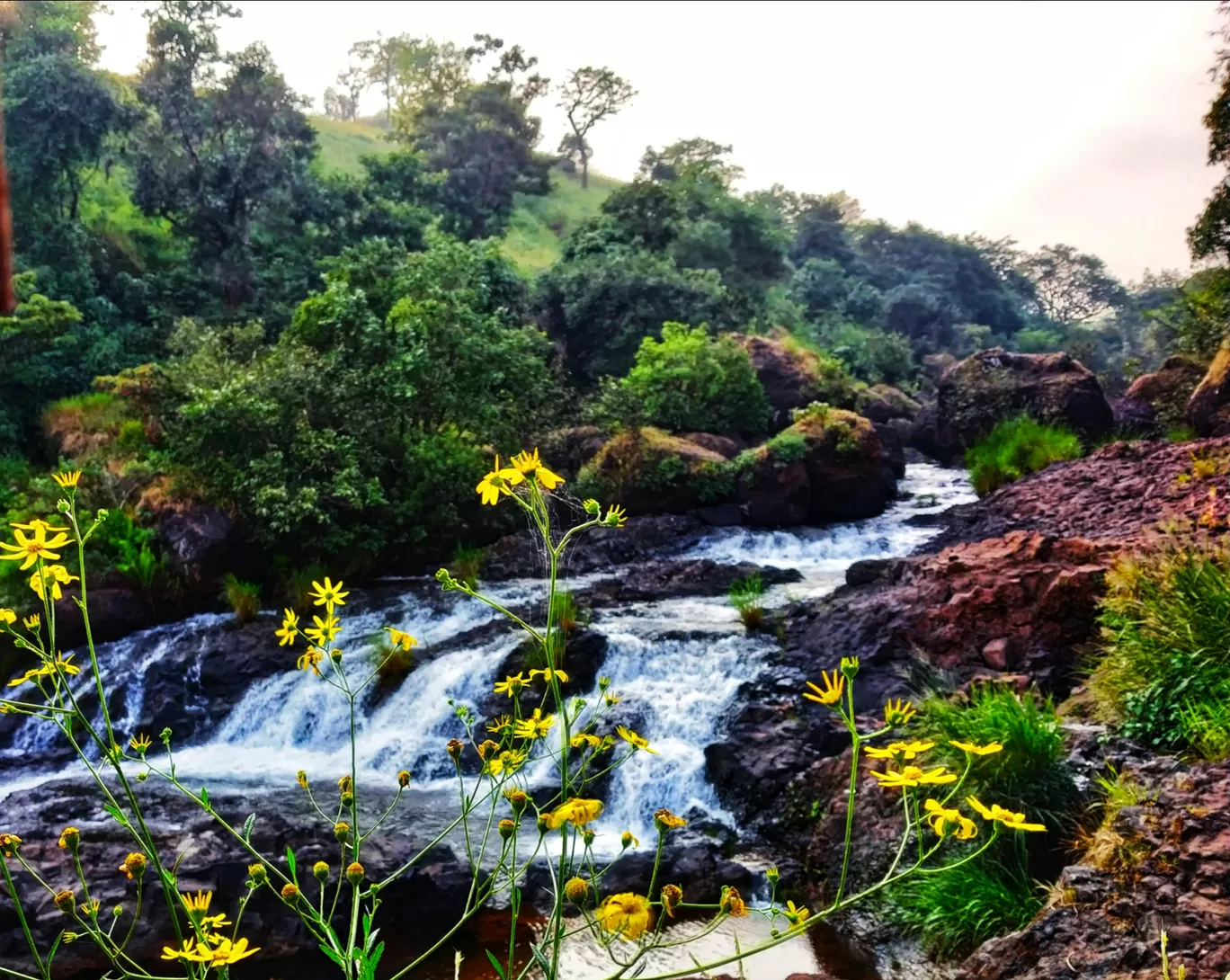 Photo of Thoseghar Waterfall By Rutuja Pawar