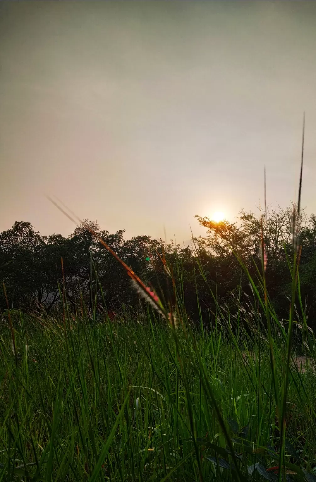 Photo of Thoseghar Waterfall By Rutuja Pawar