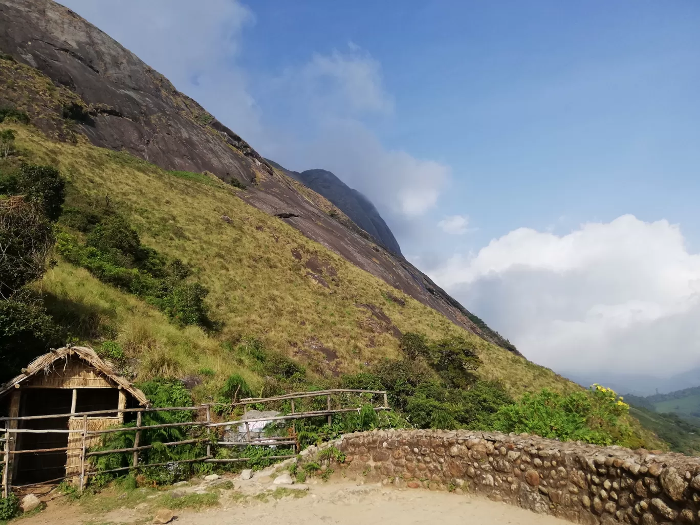 Photo of Munnar By Neethu Mohan