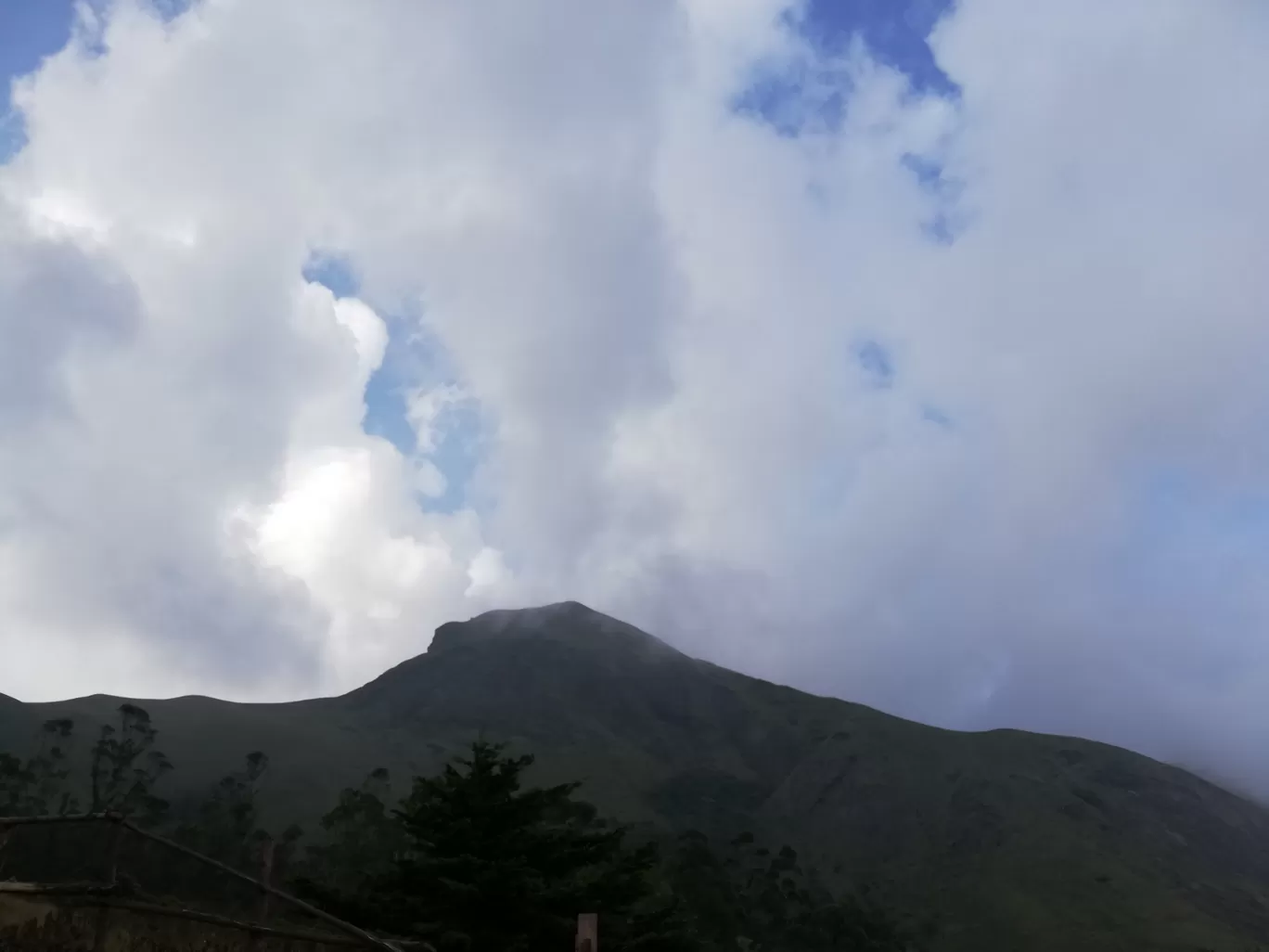 Photo of Munnar By Neethu Mohan