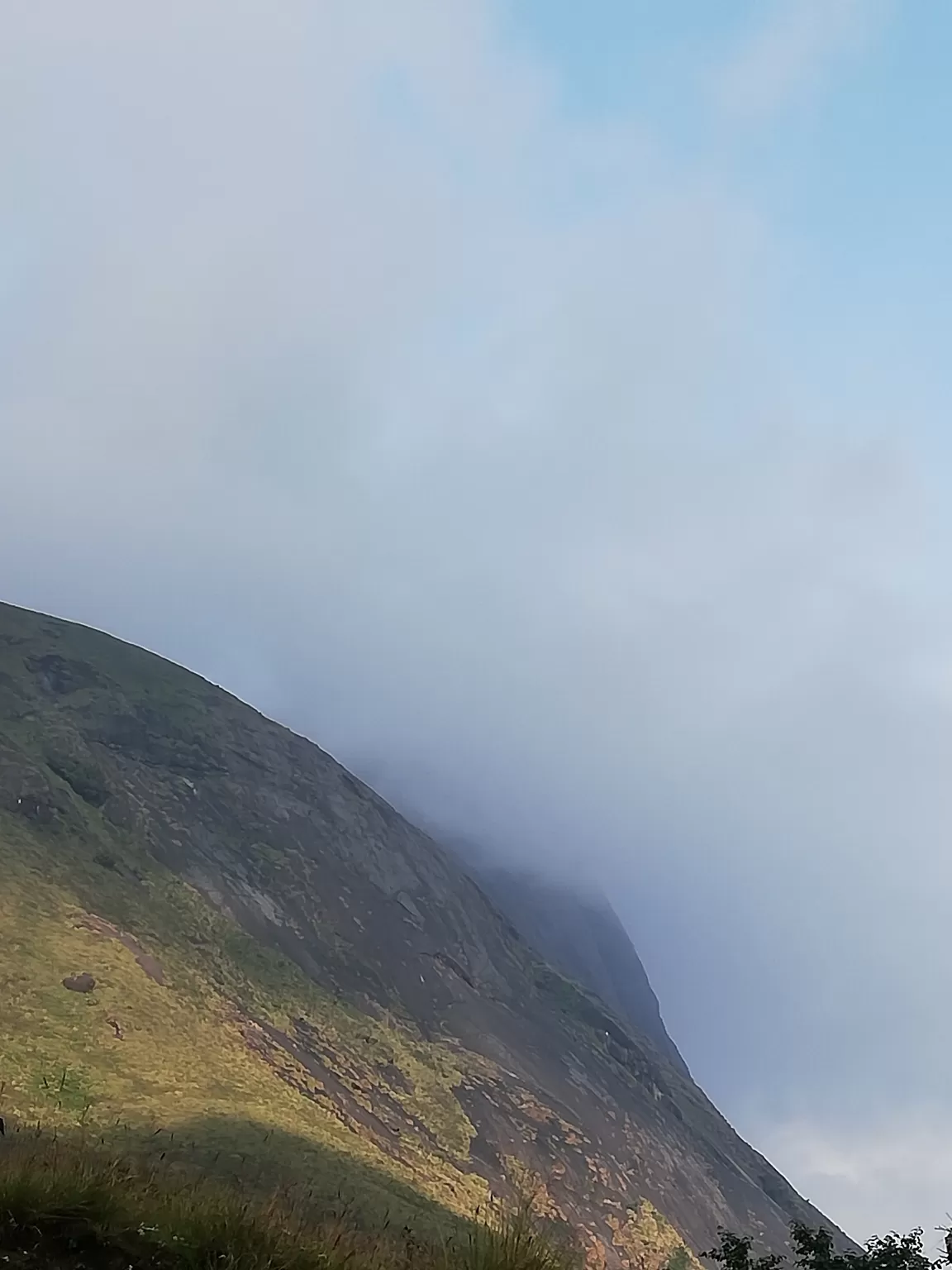 Photo of Munnar By Neethu Mohan