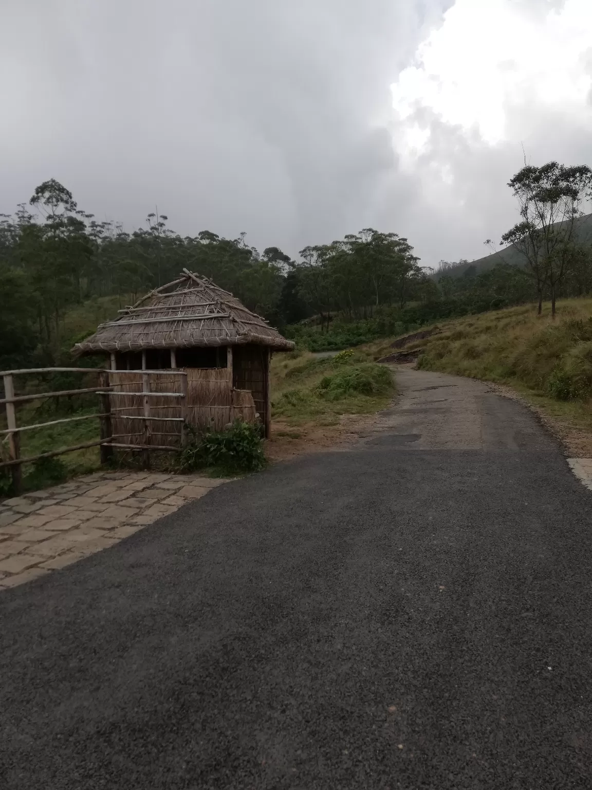 Photo of Munnar By Neethu Mohan
