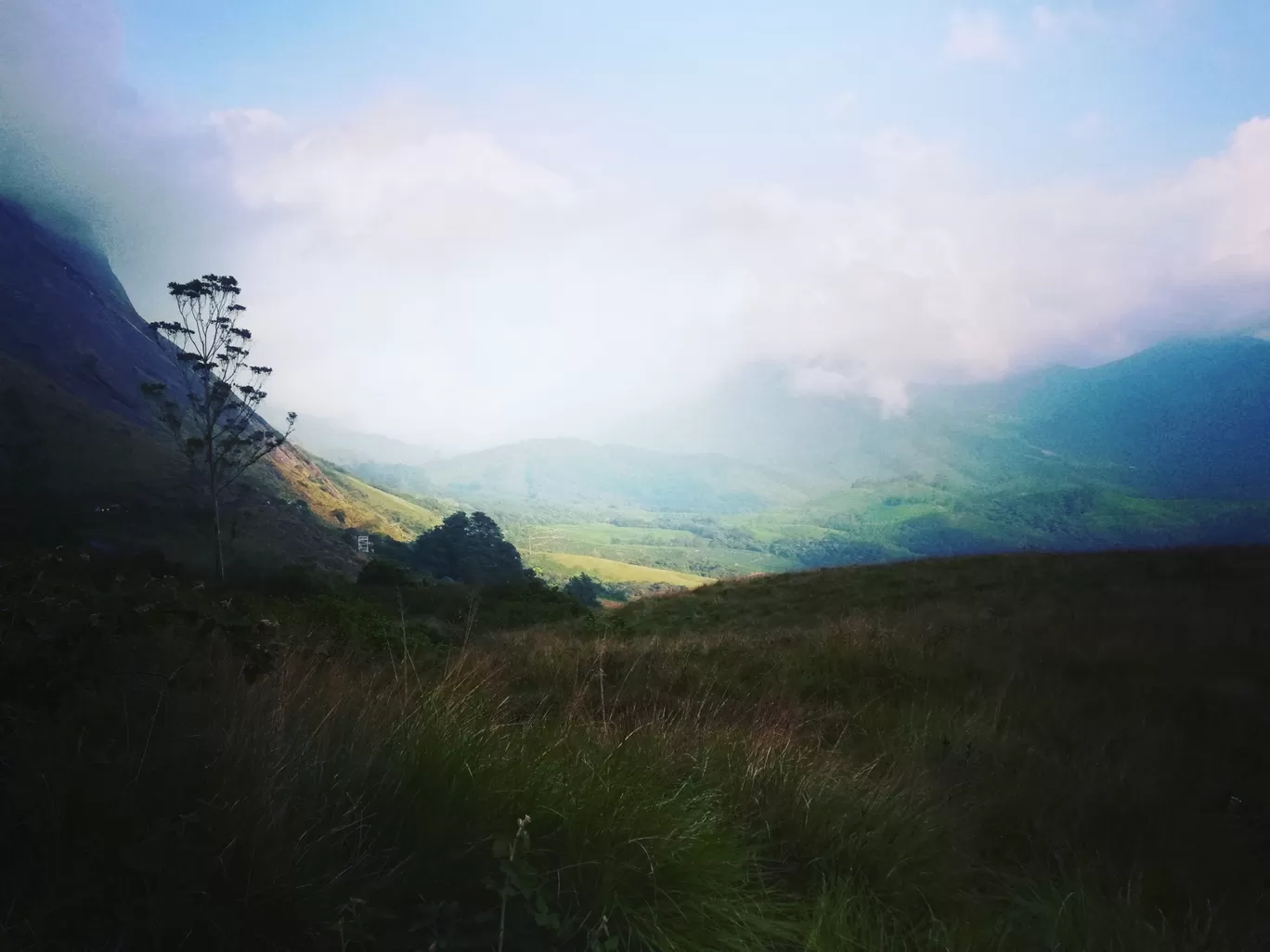 Photo of Munnar By Neethu Mohan