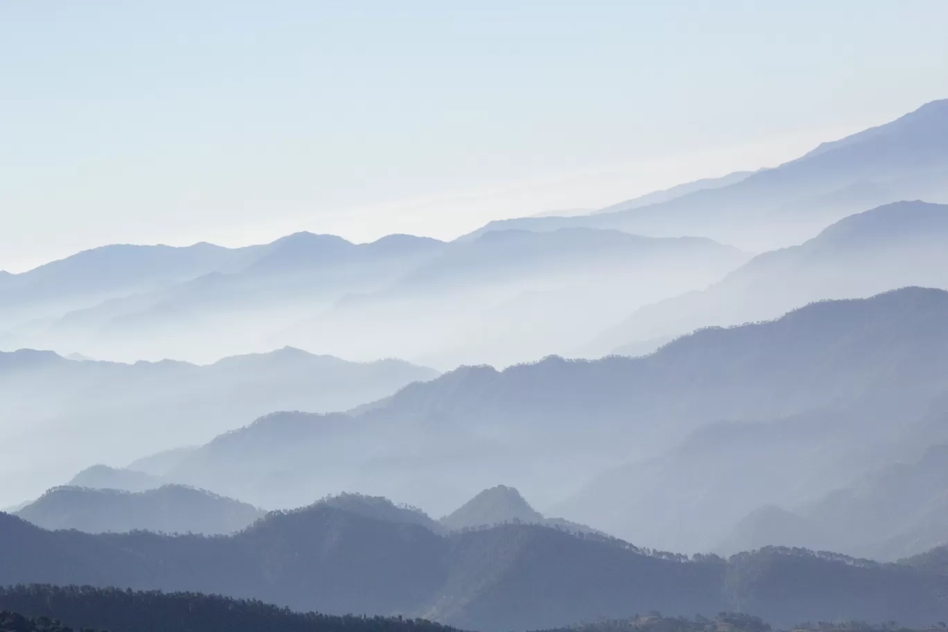 Photo of Chopta By Harsimran Kaur