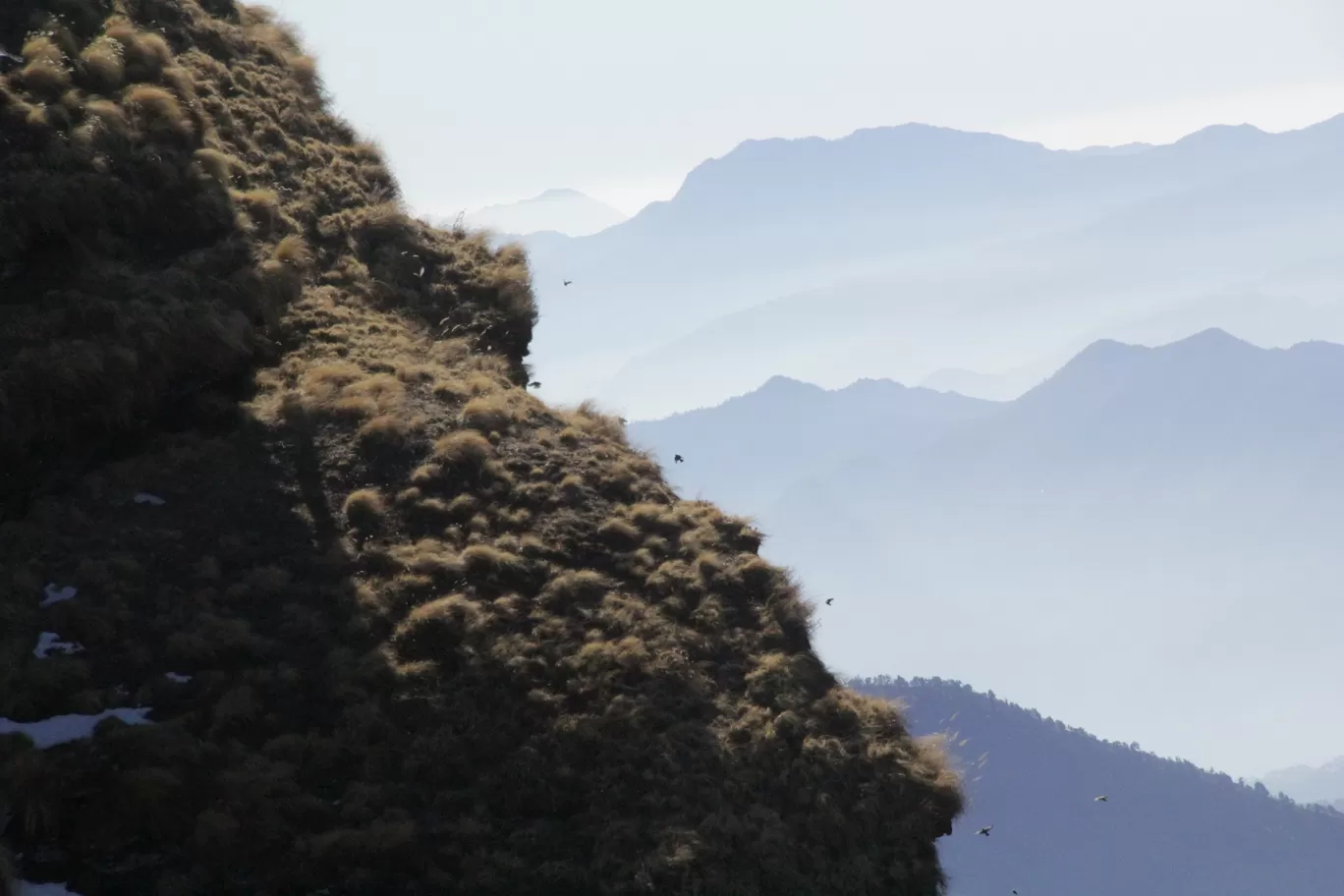 Photo of Chopta By Harsimran Kaur