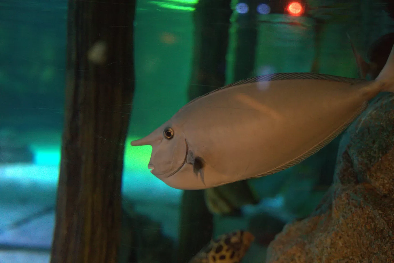 Photo of SEA LIFE Bangkok Ocean World By mayank tiwari