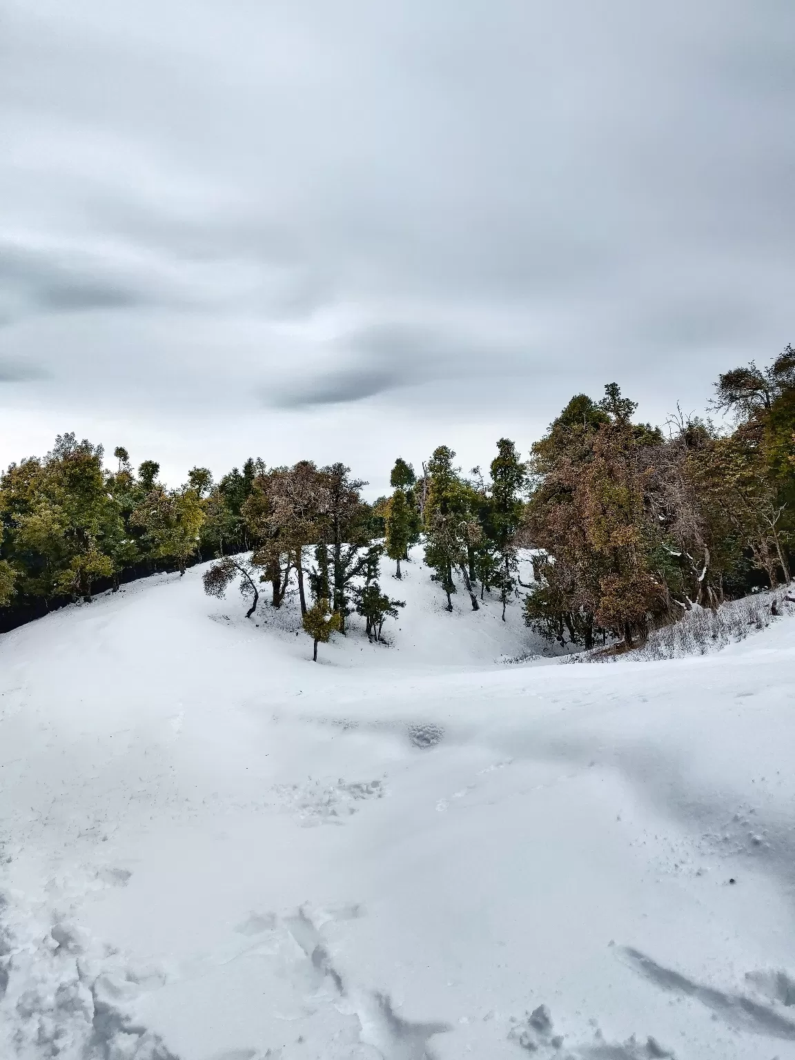 Photo of Nag Tibba By Shivam Garg