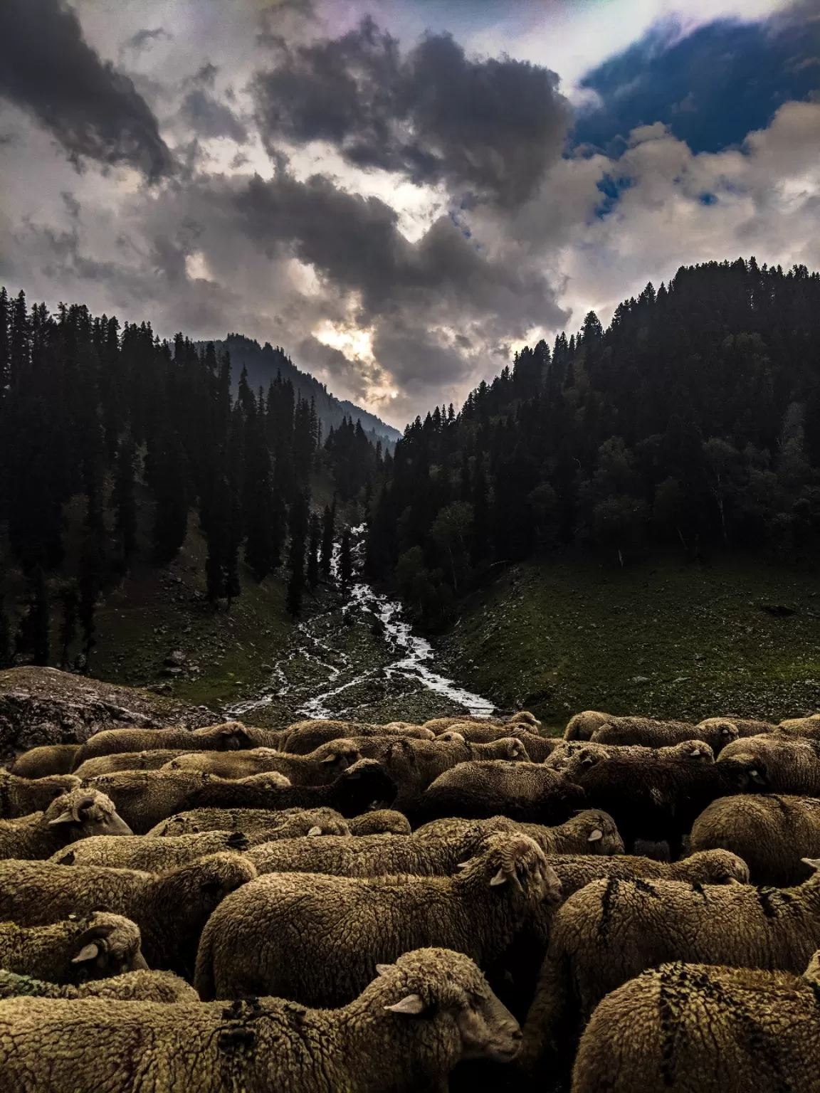 Photo of Amzaing Kashmir By Abhyuday Pratap Singh