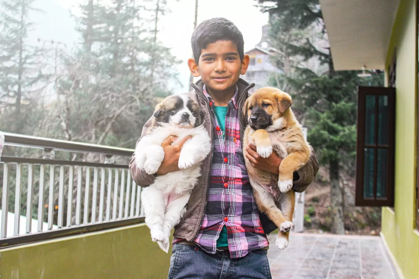 Photo of Kasol By Akshata Kharate