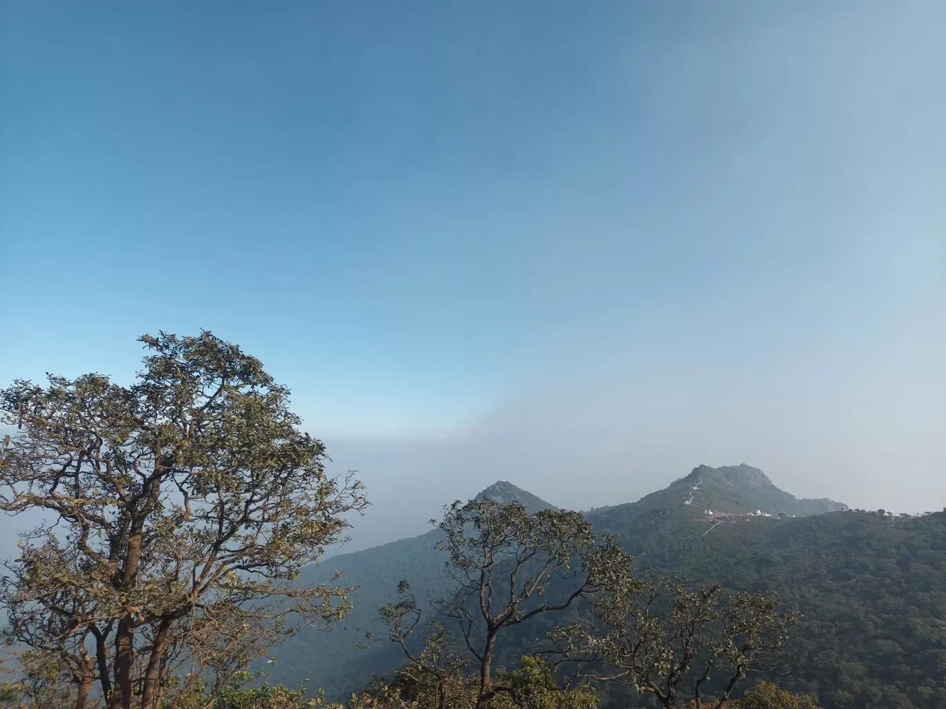Photo of Parasnath By kvshah