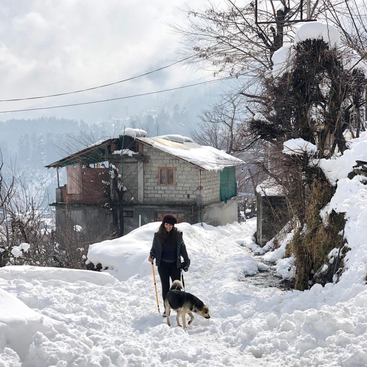 Photo of Manali By Sana Mahajan
