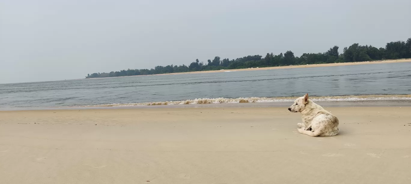 Photo of Udupi By sumi chopra