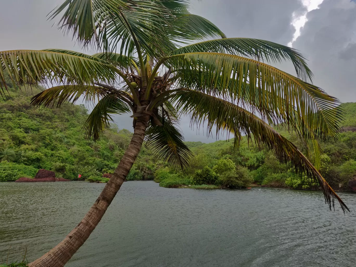 Photo of Goa By Avidha Raha