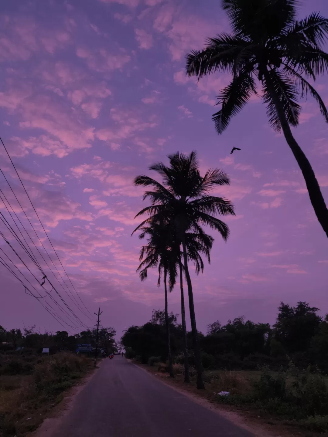 Photo of Benaulim By Avidha Raha