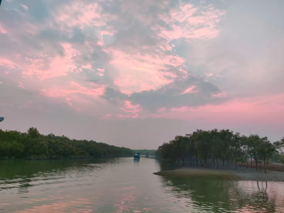 Photo of Sundarbans By Avidha Raha