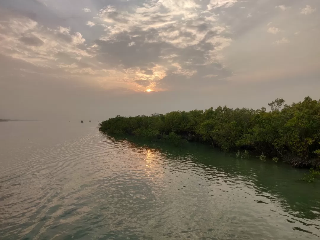 Photo of Sundarbans By Avidha Raha