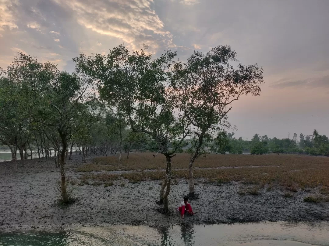 Photo of Sundarbans By Avidha Raha