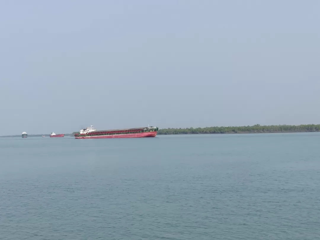 Photo of Sundarbans By Avidha Raha