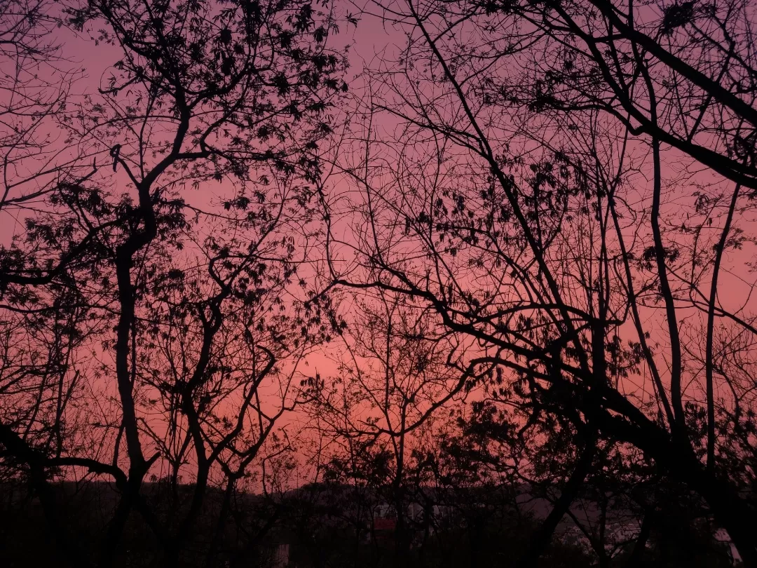 Photo of Pune By Avidha Raha