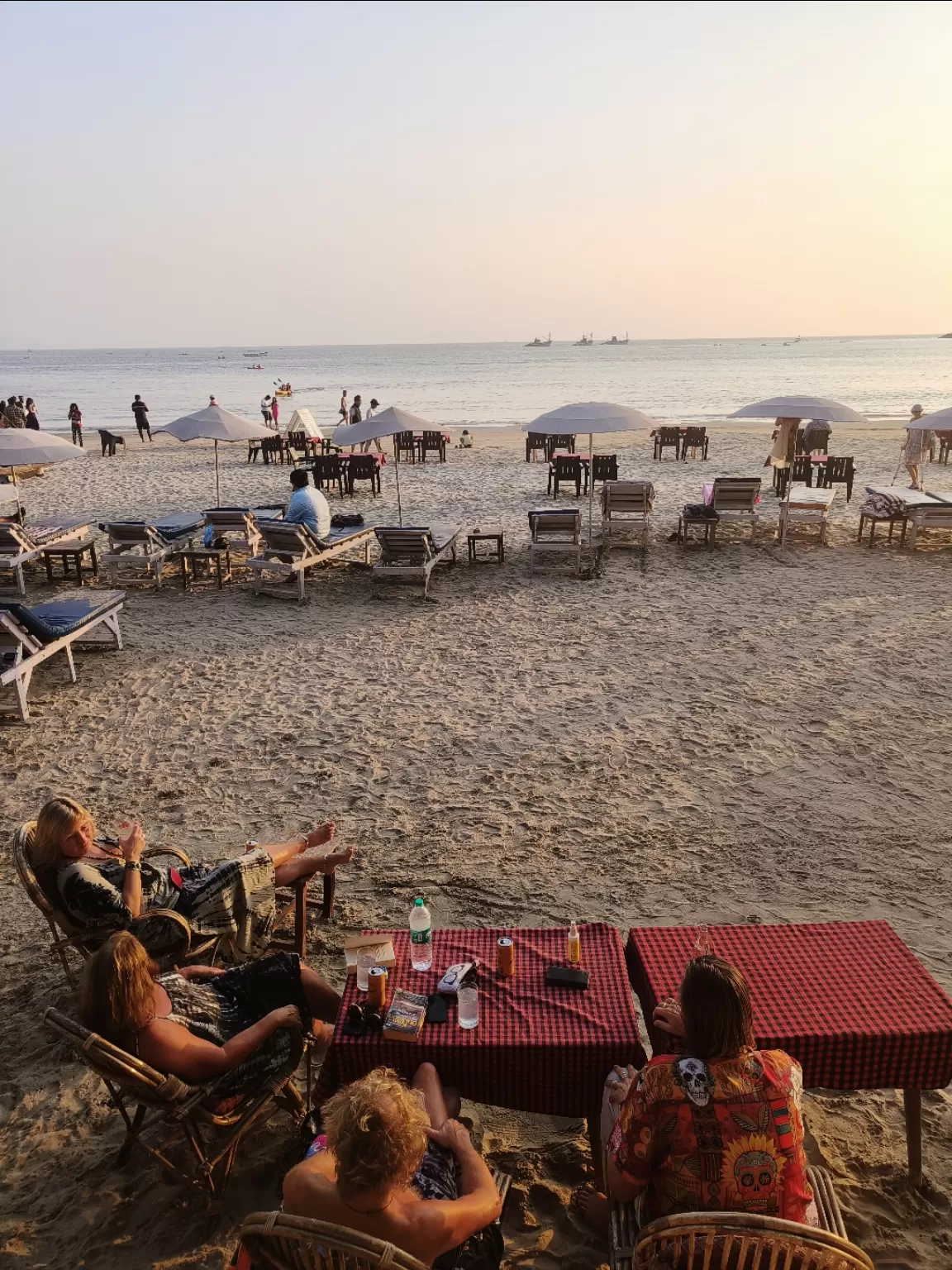 Photo of Butterfly Beach By Avidha Raha