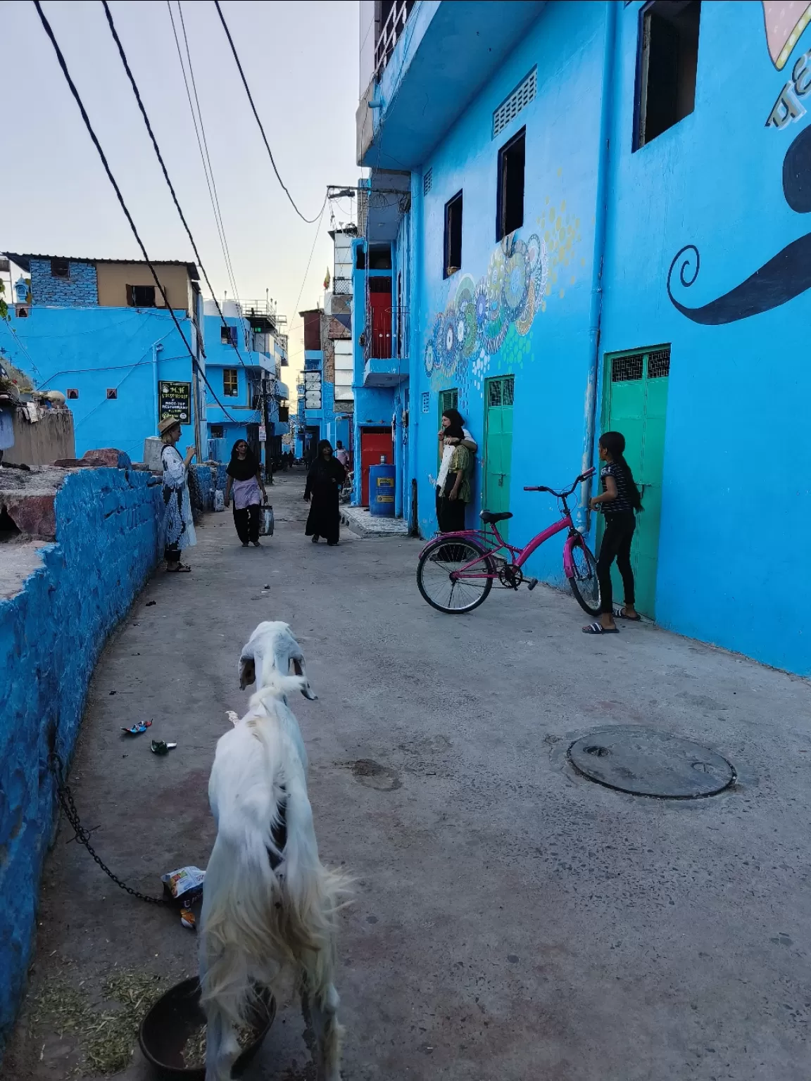 Photo of Jodhpur By Avidha Raha