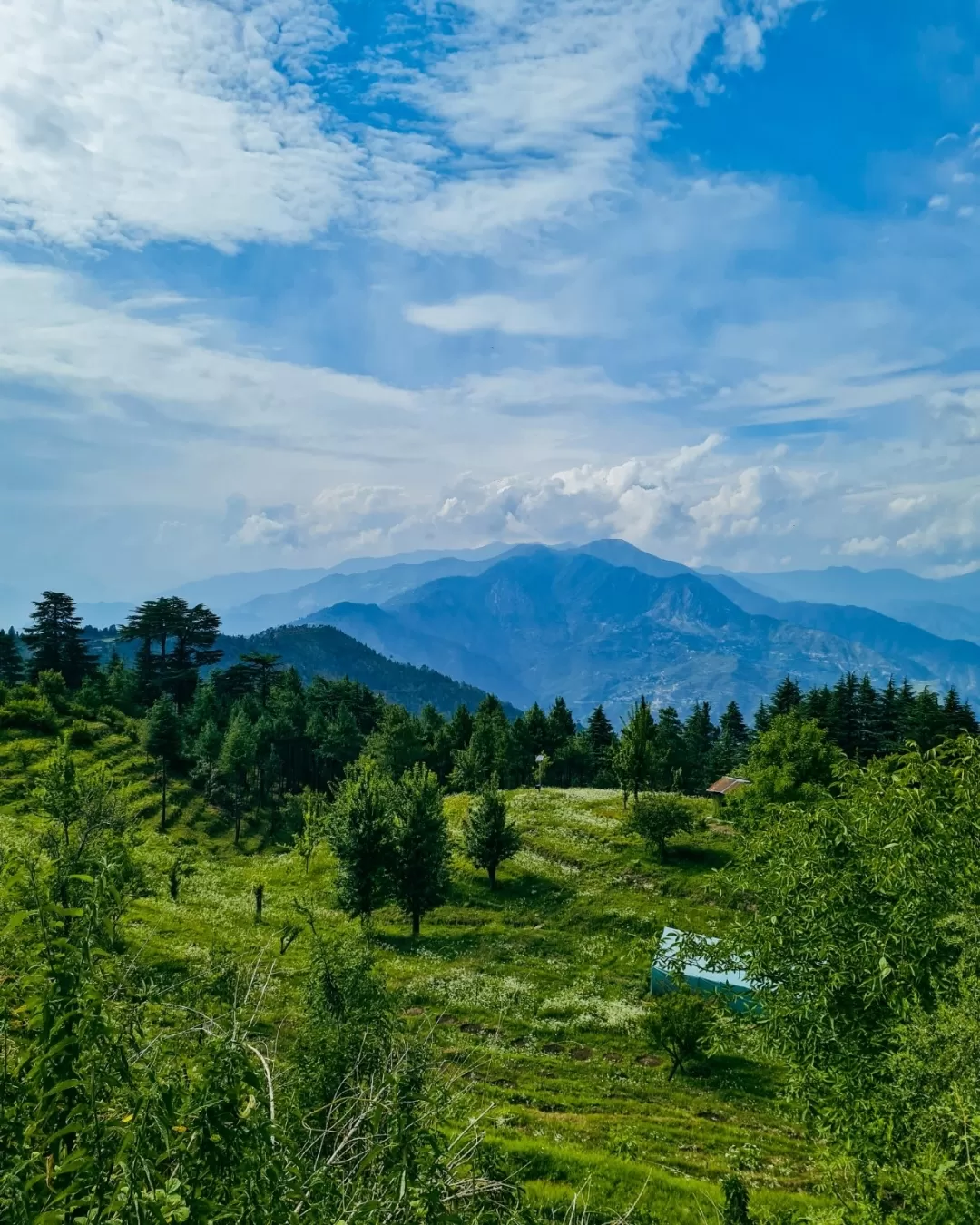 Photo of Pratap Nagar By dhruv aswal