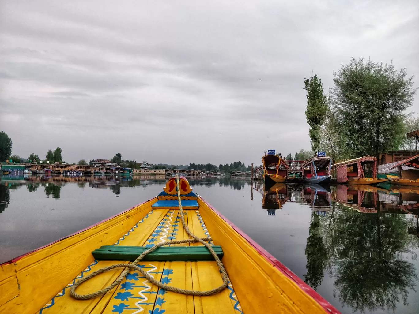 Photo of Dal Lake By Akshay Batra