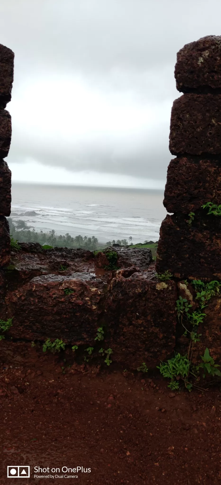 Photo of Goa By Vinay palled