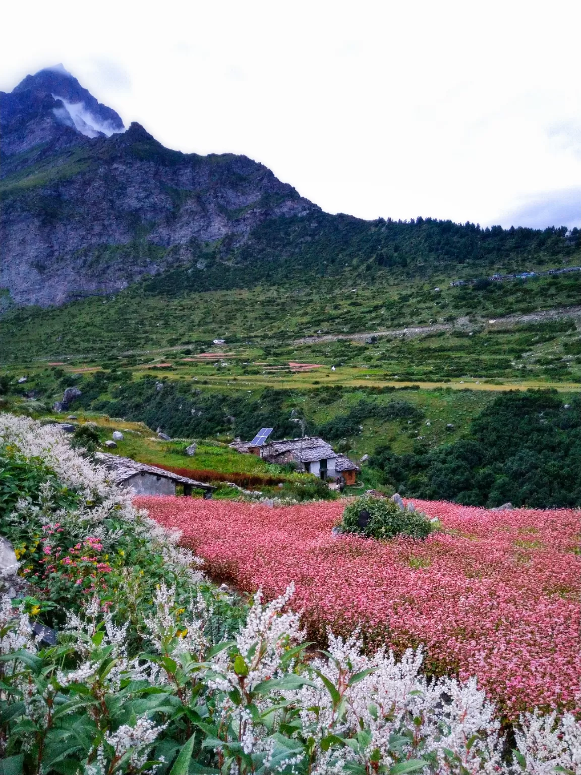 Photo of Darma Valley By DhAmi NaResh