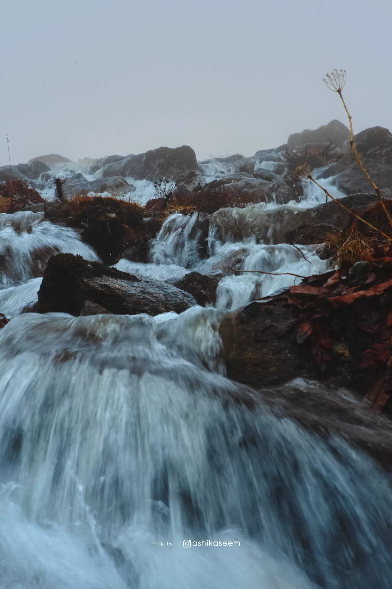 Photo of Bum La Pass By Ashik Aseem