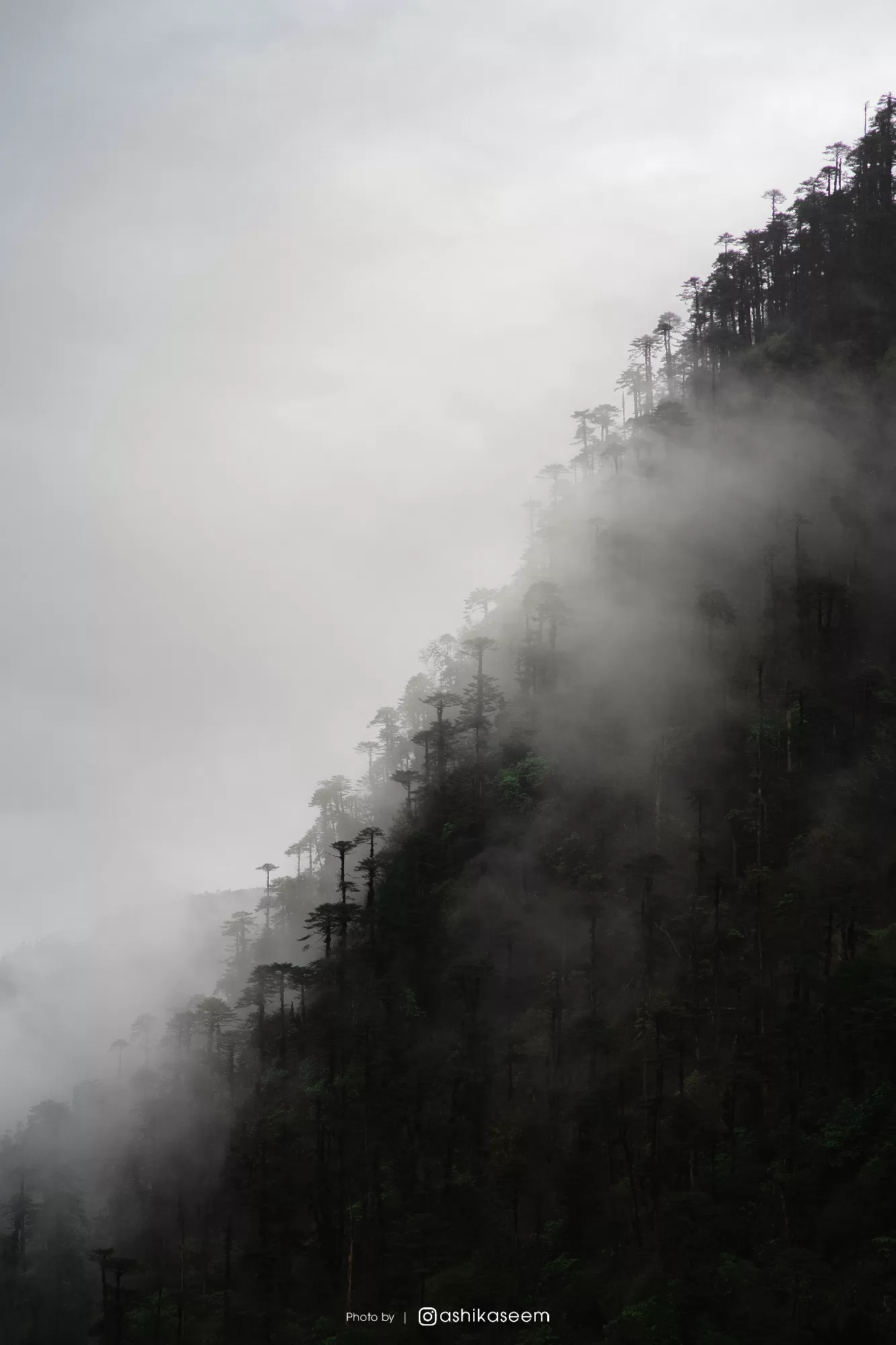 Photo of Bum La Pass By Ashik Aseem
