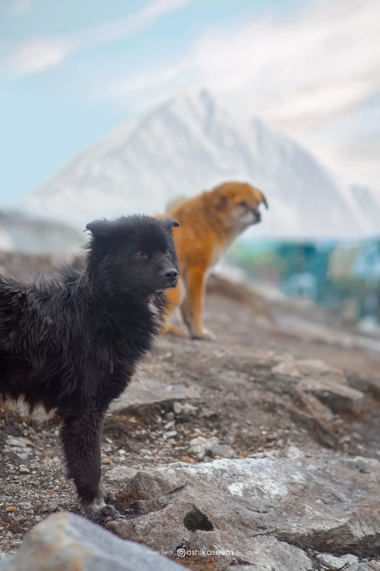 Photo of Bum La Pass By Ashik Aseem