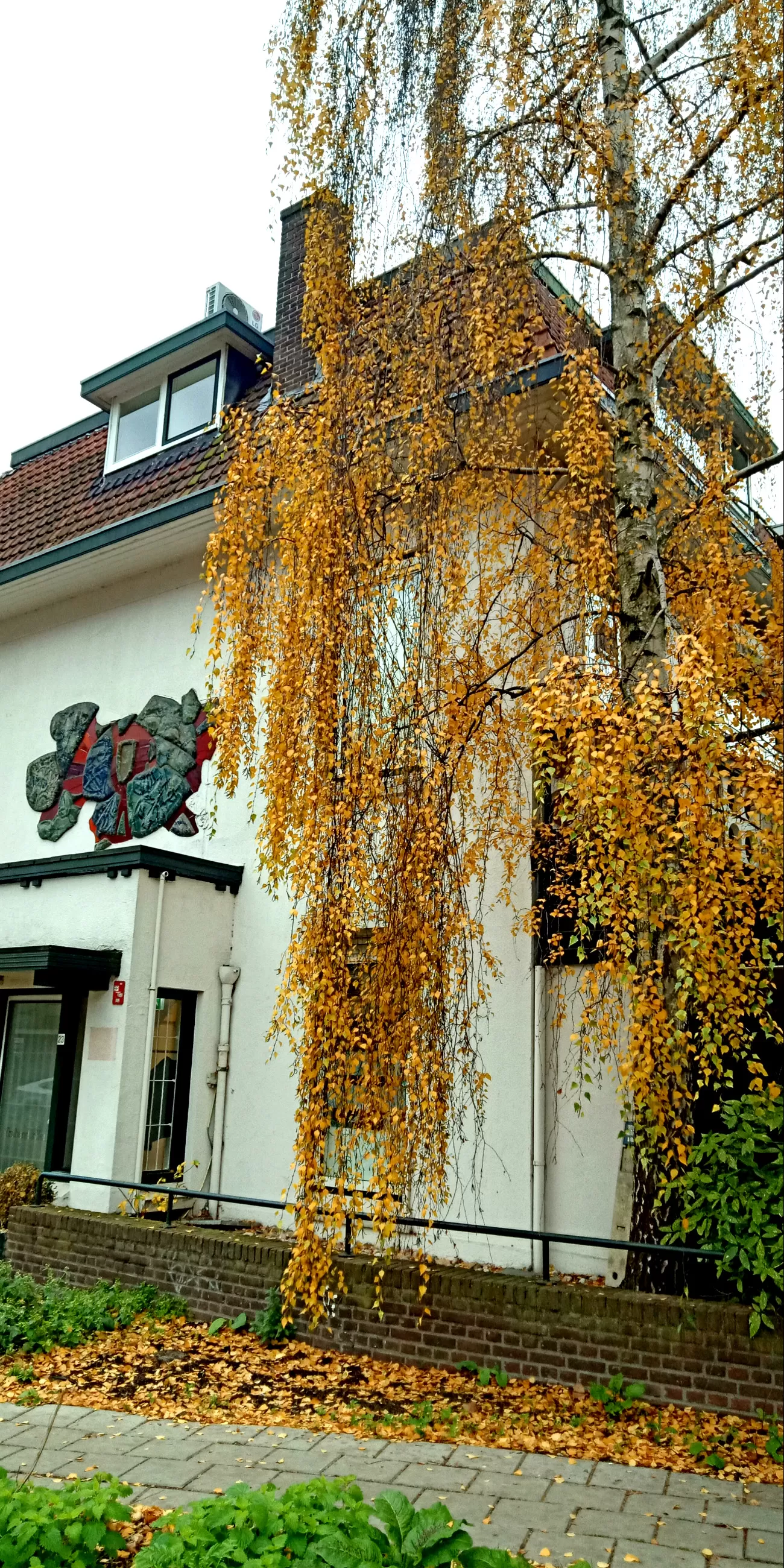 Photo of Utrecht By Deepika Chaurasia