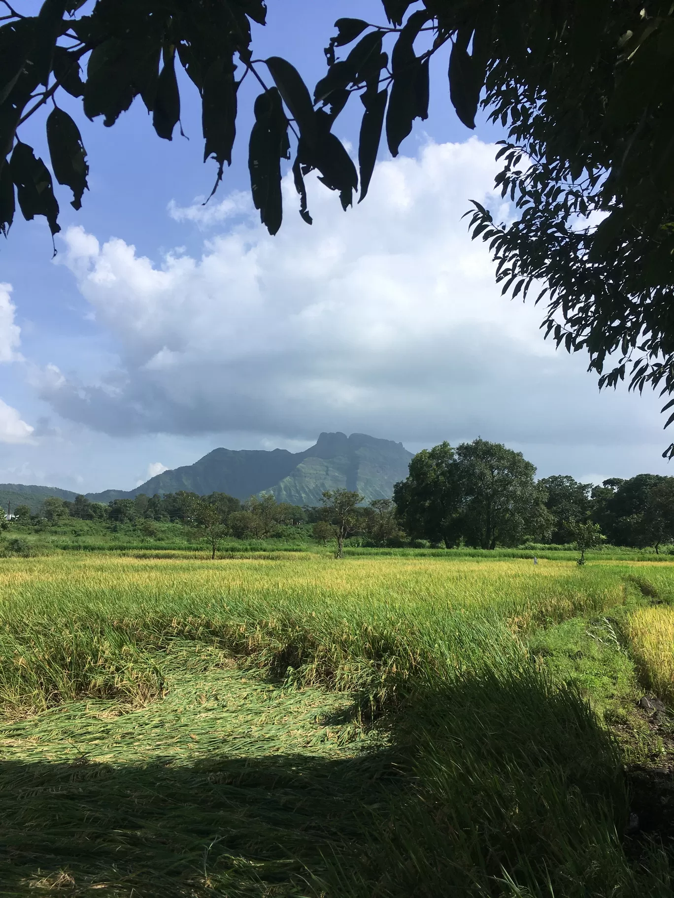 Photo of Ambernath By Satyaprakash Nahak