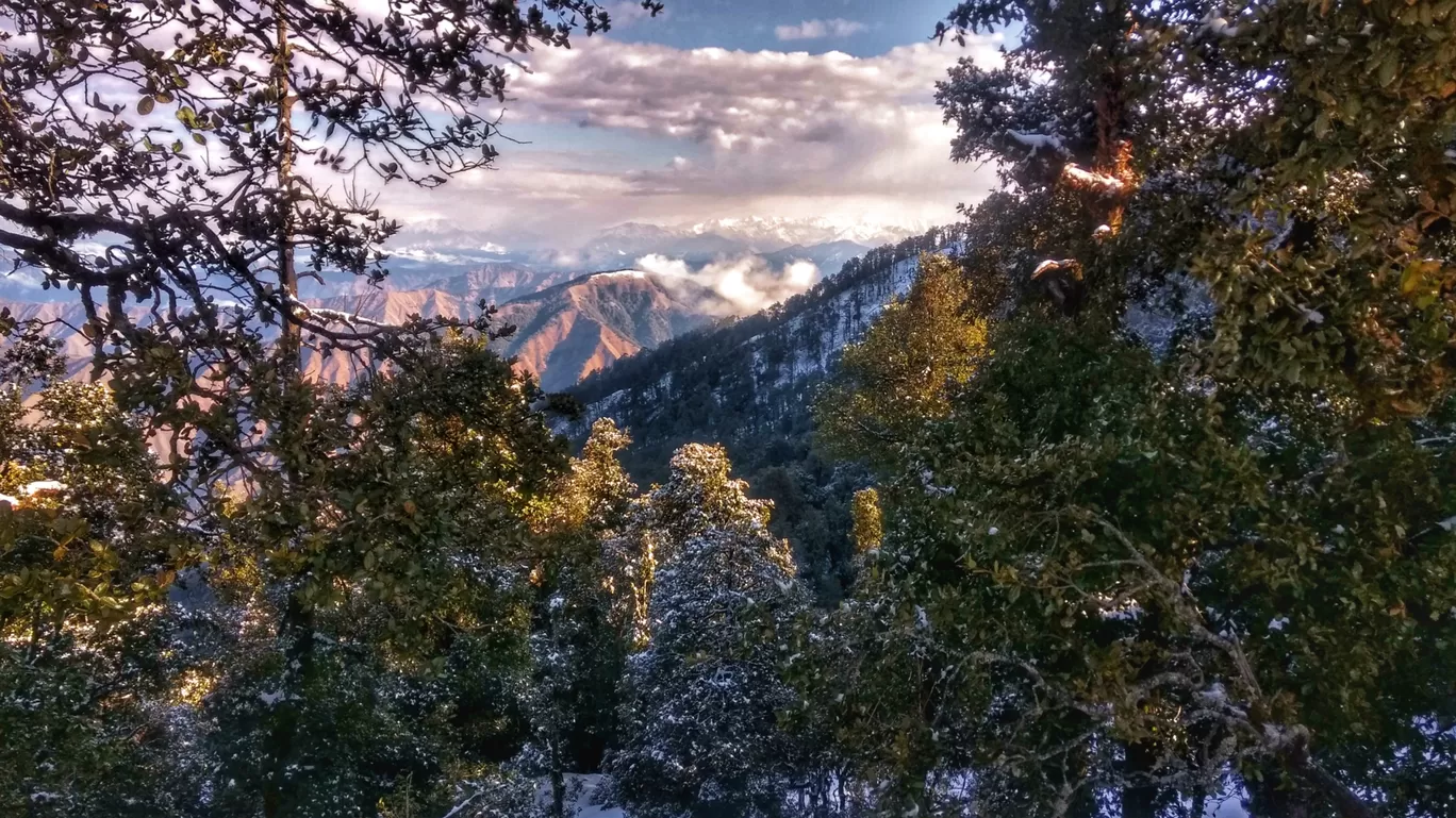 Photo of Nag Tibba Trek By Srishti Gupta